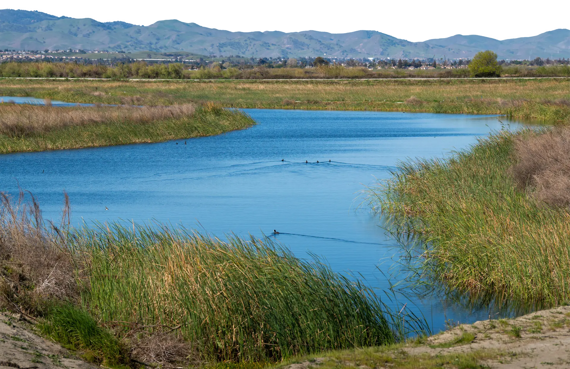 Photo of hills and farmland in california